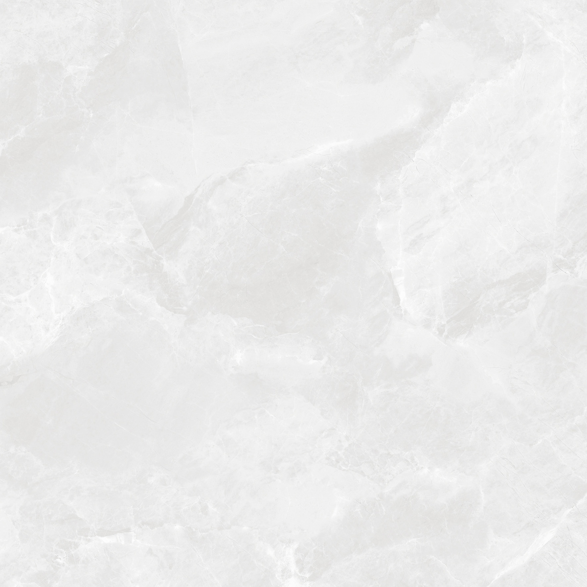 Изображение товара Керамогранит Ceradim Regnum Bianco CR6060G0391R 59.5x59.5 светло-серый матовый