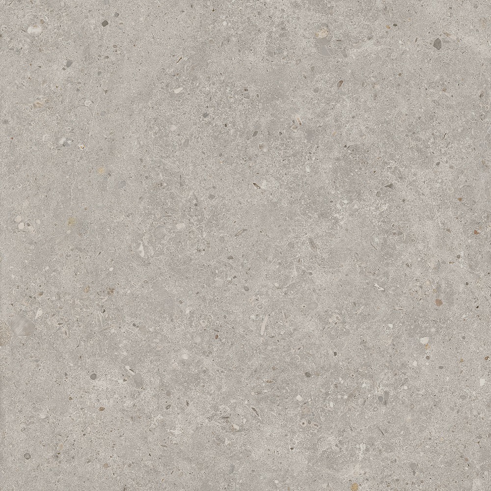 Изображение товара KERAMA MARAZZI Риккарди SG653720R керамогранит 60x60 см серый светлый