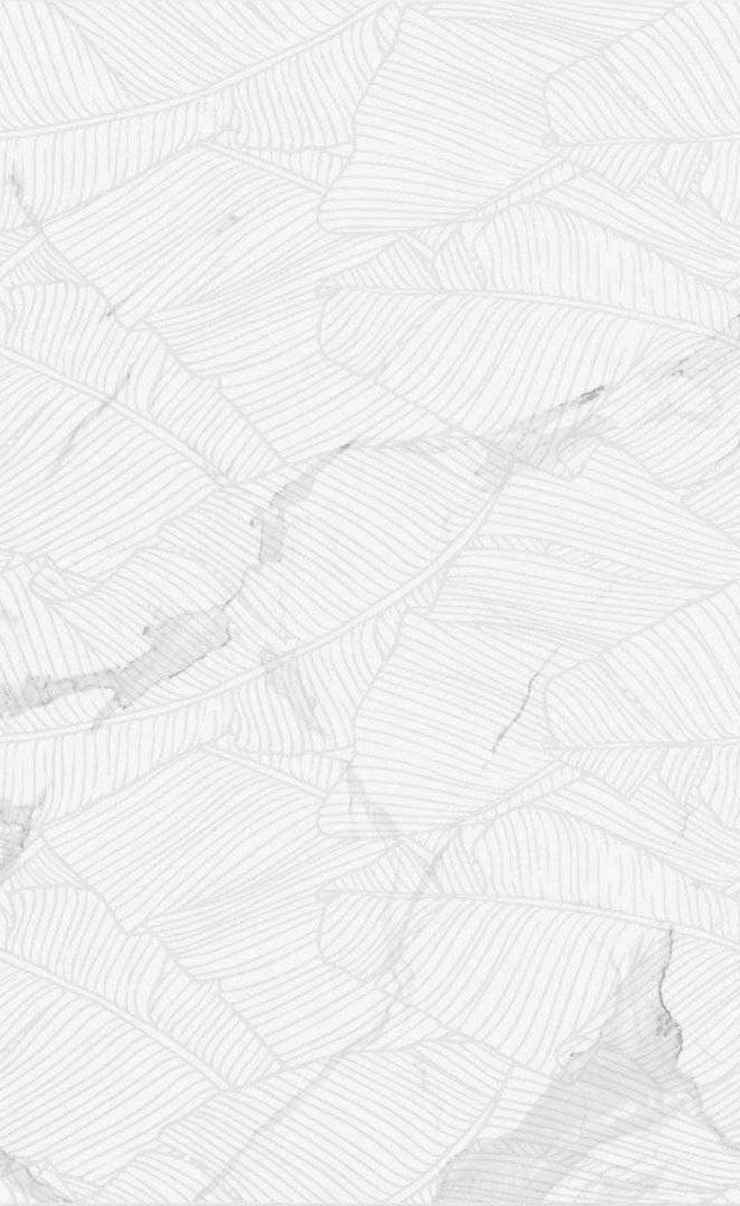 Изображение товара Плитка настенная Нефрит Lace white 25x40 Изображение товара Плитка настенная Нефрит Lace white 25x40