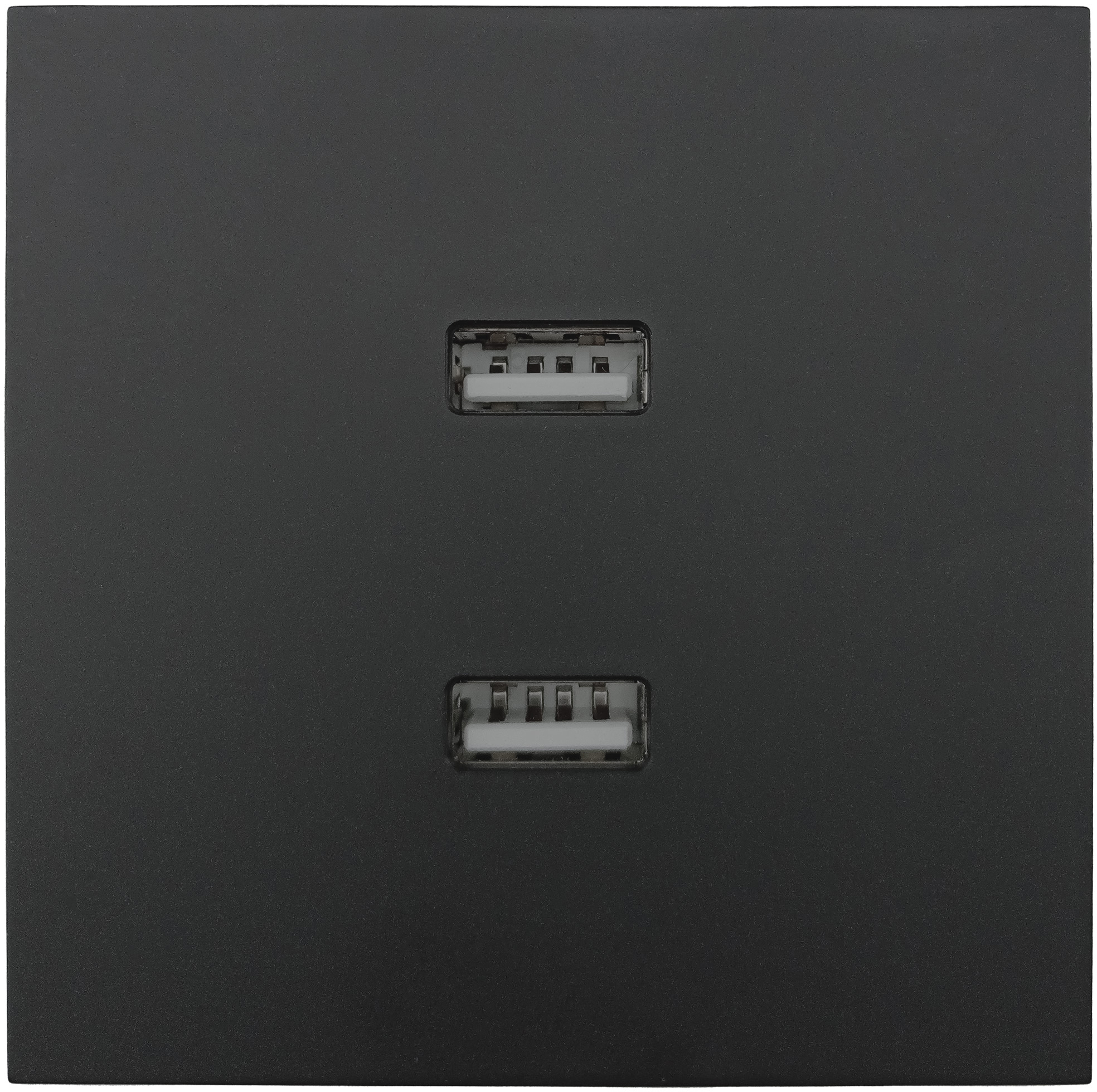 Изображение товара Розетка двойная USB встраиваемая Lezard Zima без заземления цвет черный бархат