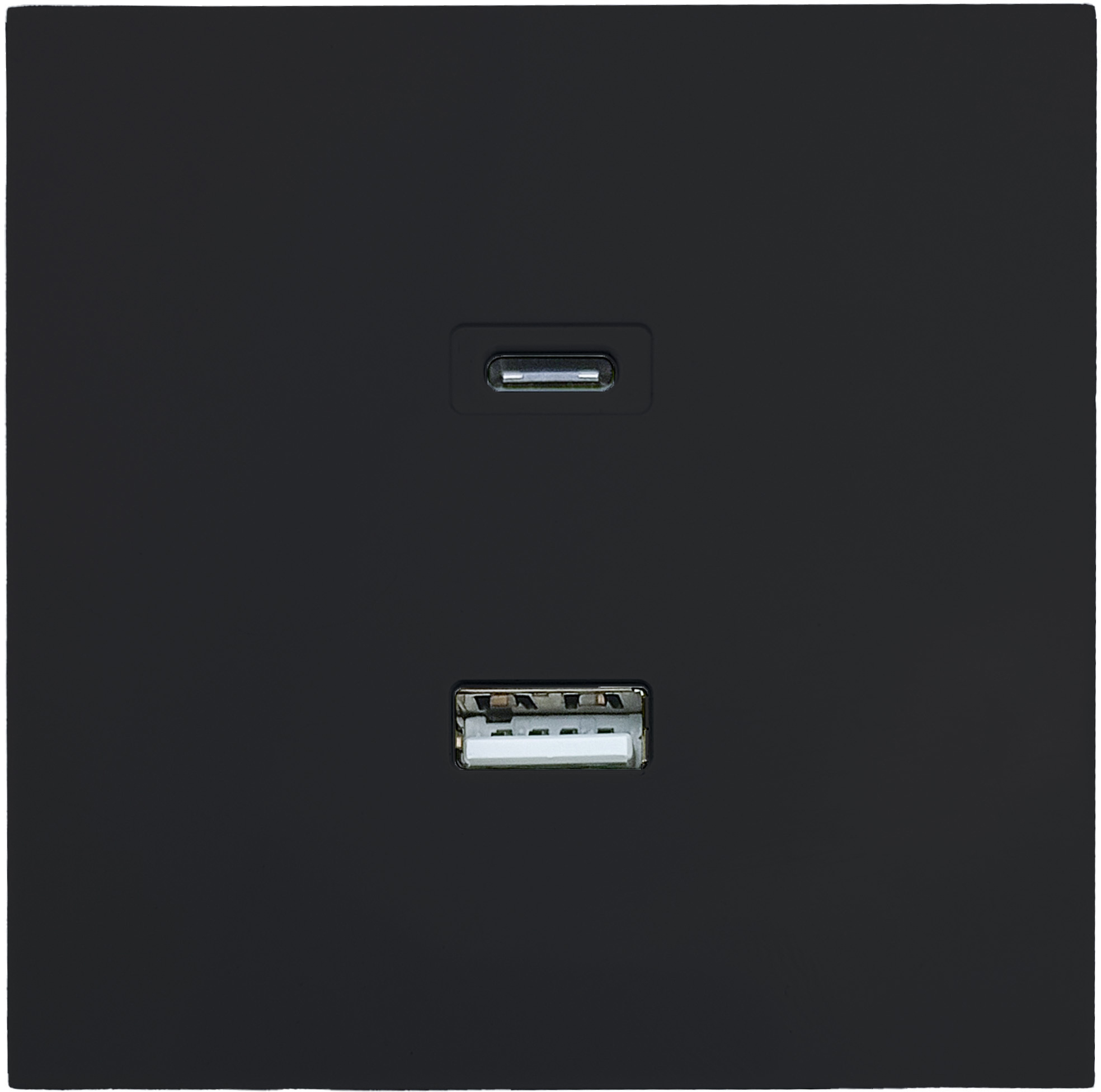 Изображение товара Встраиваемая розетка с USB Lezard Zima черный бархат IP20