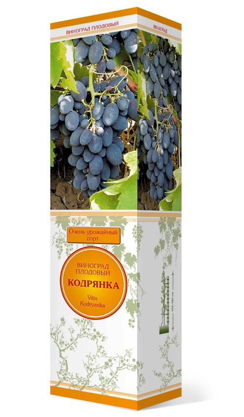 Изображение товара Виноград плодовый Кодрянка коробка h59 см