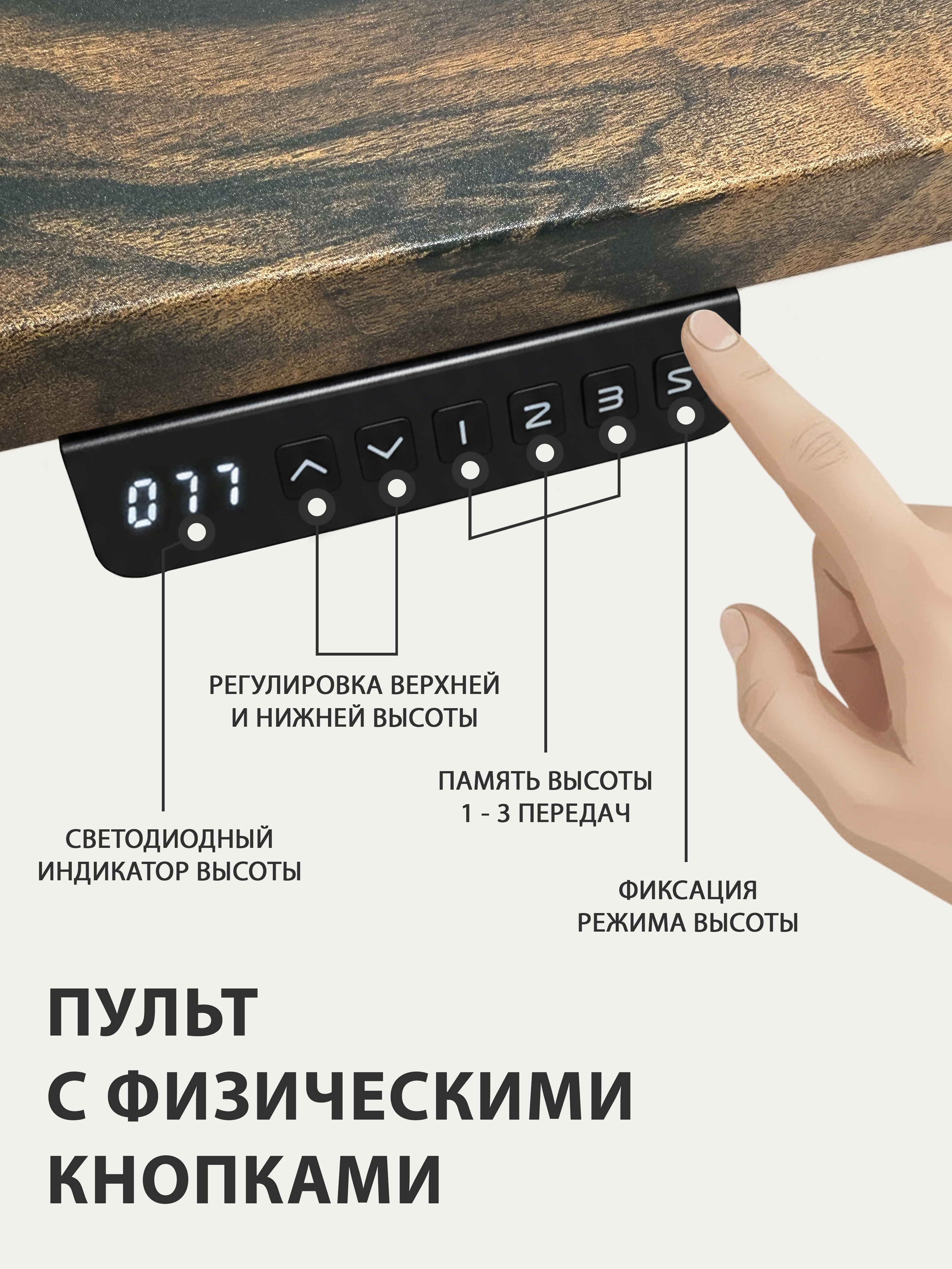 Изображение товара Стол с электроприводом THETABLE 80x74x80 см с ЛДСП коричневый Изображение товара Стол с электроприводом THETABLE 80x74x80 см с ЛДСП коричневый