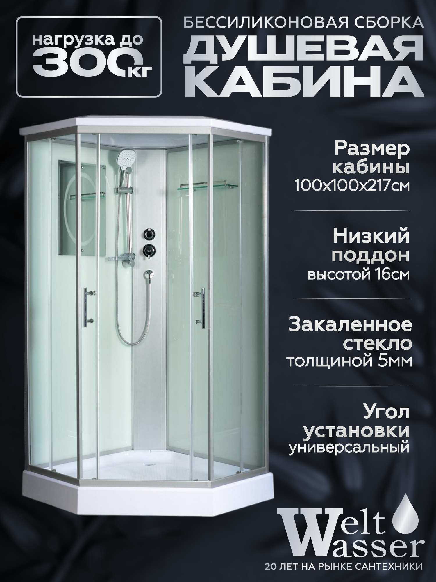Изображение товара Душевая кабина Weltwasser Nesse низкий поддон 100x100см 10000003281