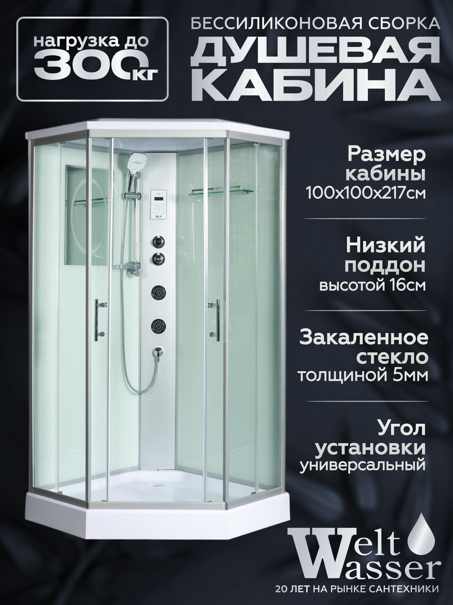 Изображение товара Гидромассажная душевая кабина Weltwasser NESSE 1004 с низким поддоном 100x100