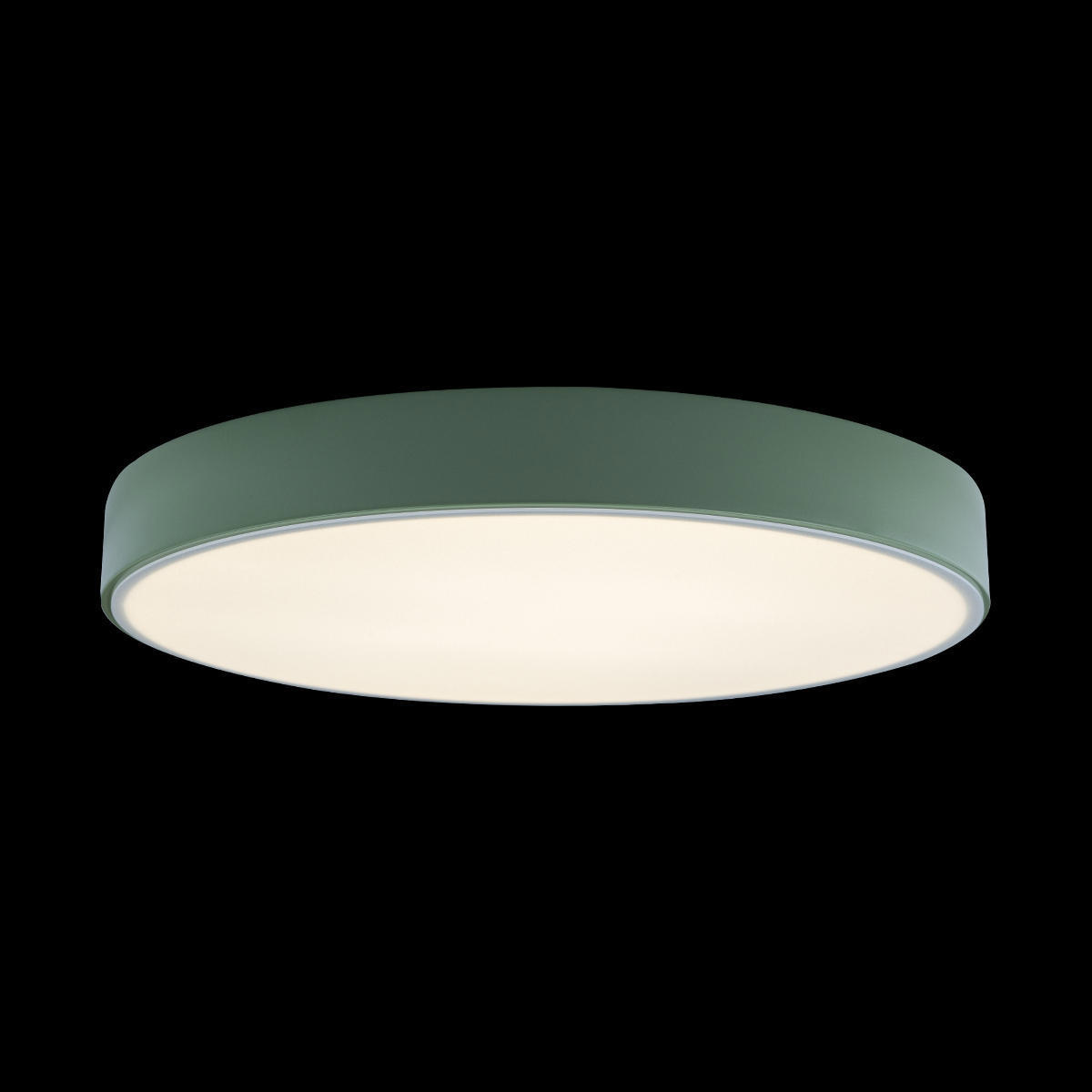 Изображение товара Светильник настенно-потолочный светодиодный Loft It LF_10002_24_Green