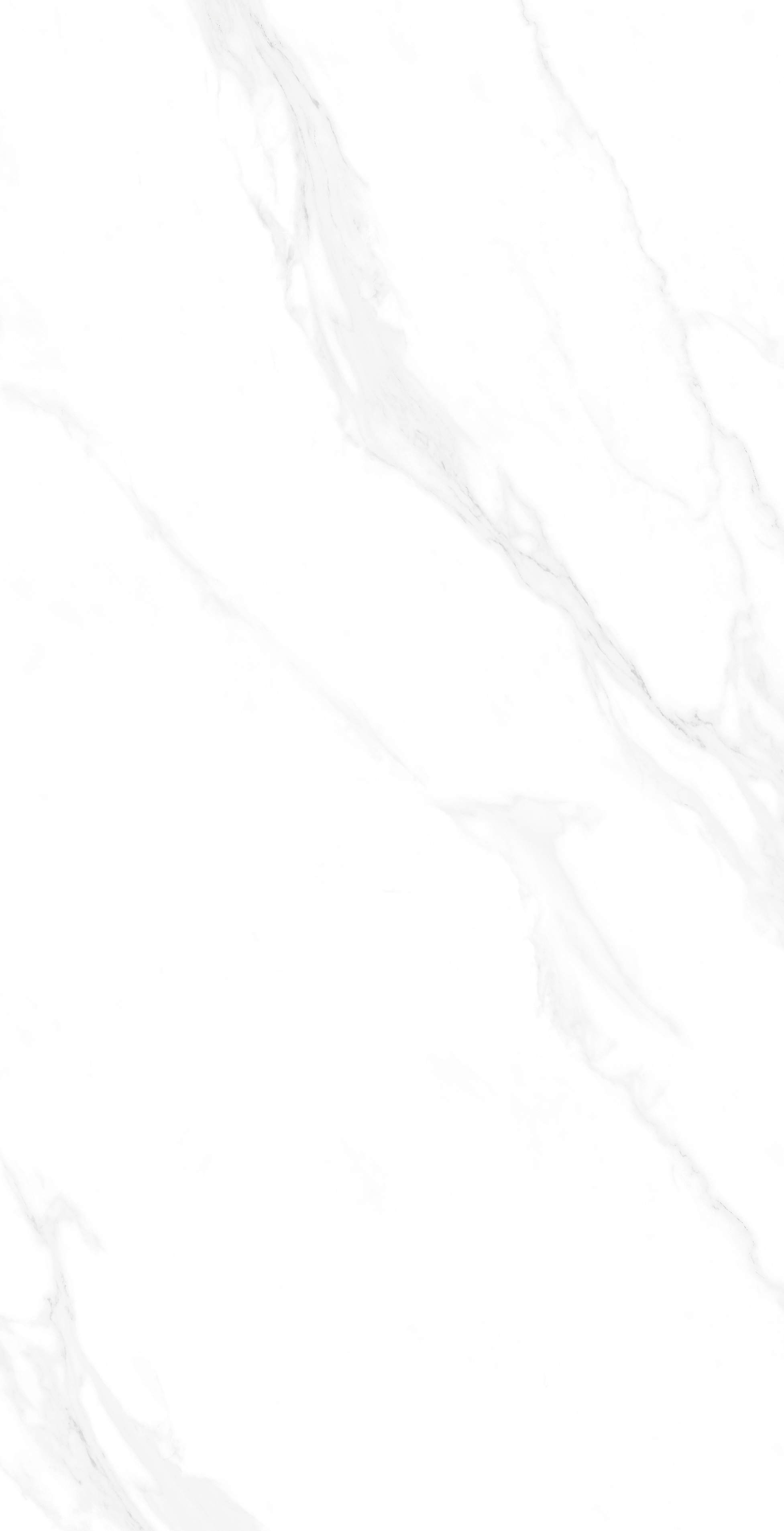 Изображение товара Керамогранит SAL SAPIENTE BIG STONE BSP 126003 L 60×120 см