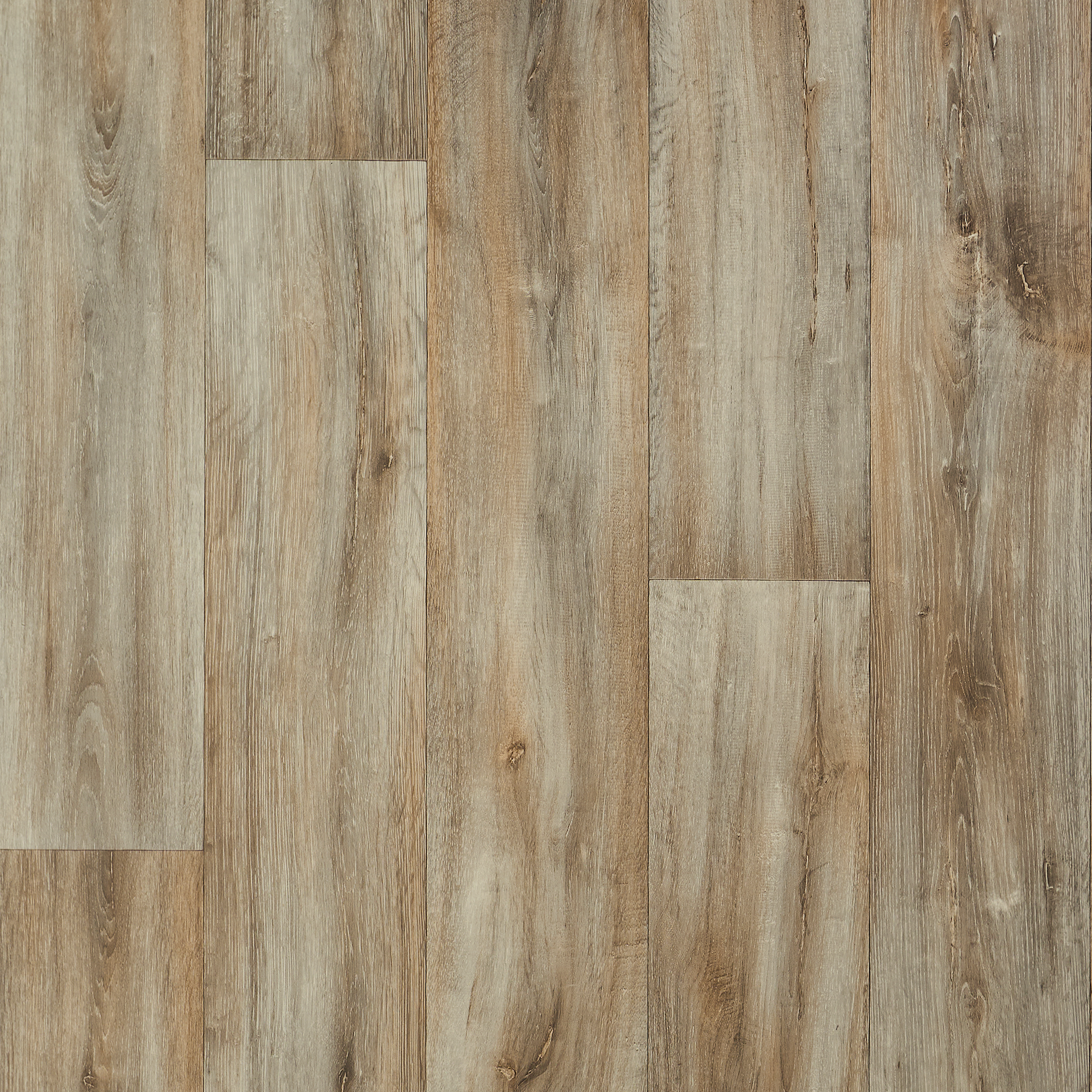 Изображение товара Линолеум полукоммерческий Дуб Ялтинский 32 класс 4 м с рисунком дерево Изображение товара Линолеум полукоммерческий Дуб Ялтинский 32 класс 4 м с рисунком дерево