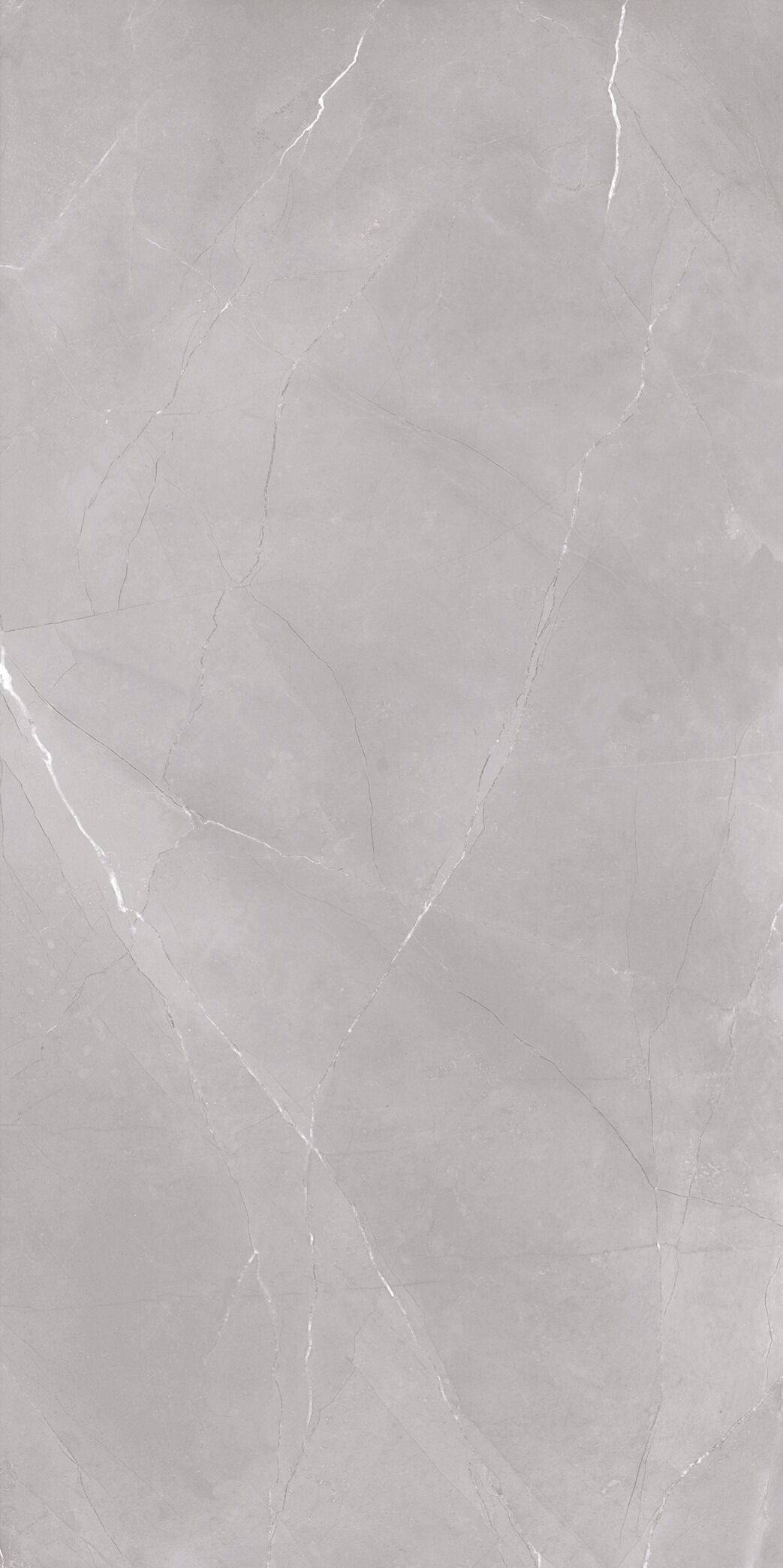 Изображение товара Керамогранит Sal Sapiente Big Stone gsm 126676 60x120 см цвет серый Изображение товара Керамогранит Sal Sapiente Big Stone gsm 126676 60x120 см цвет серый