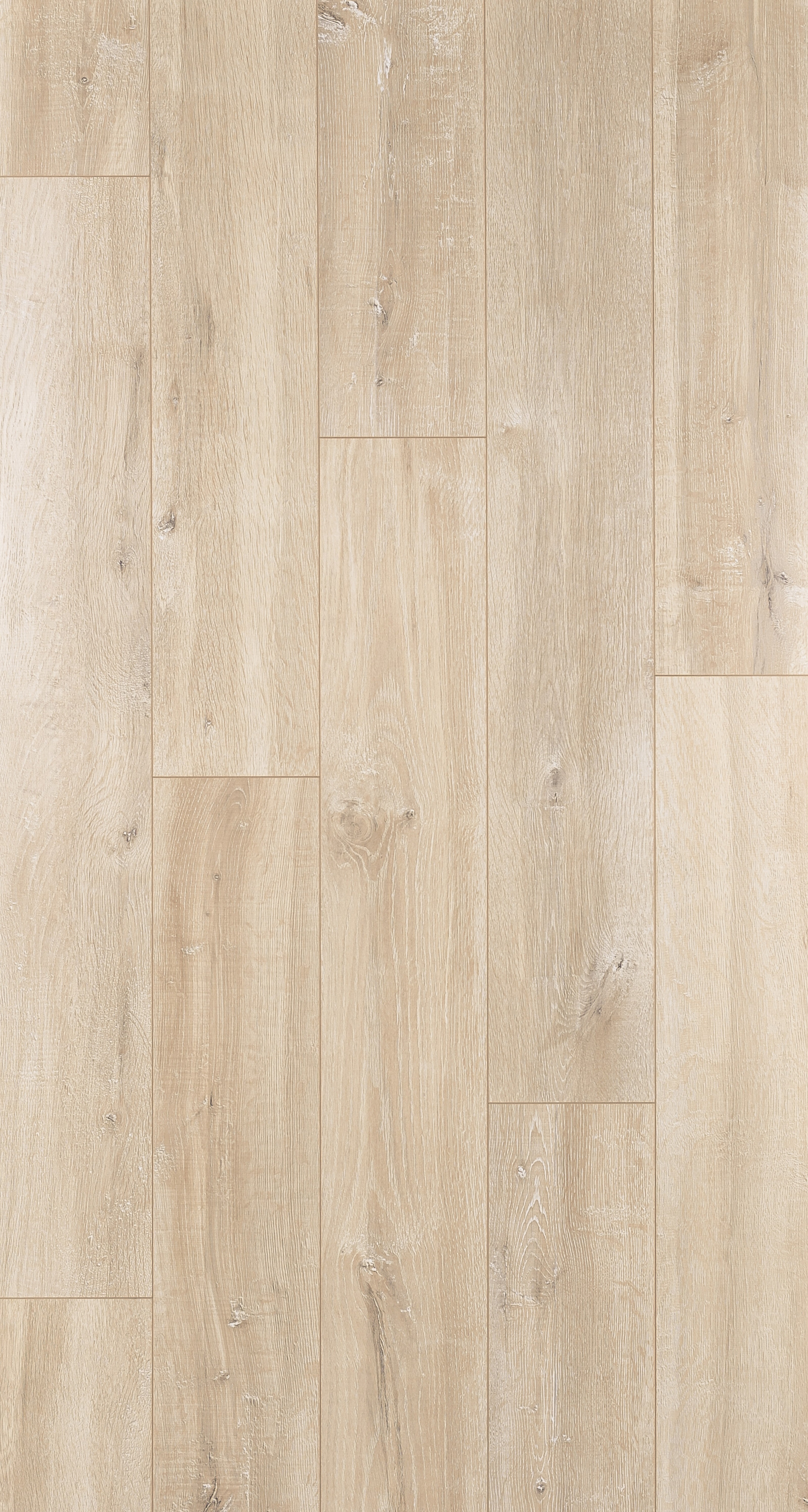 Изображение товара Ламинат Дуб Кализия 33 класс 8 мм