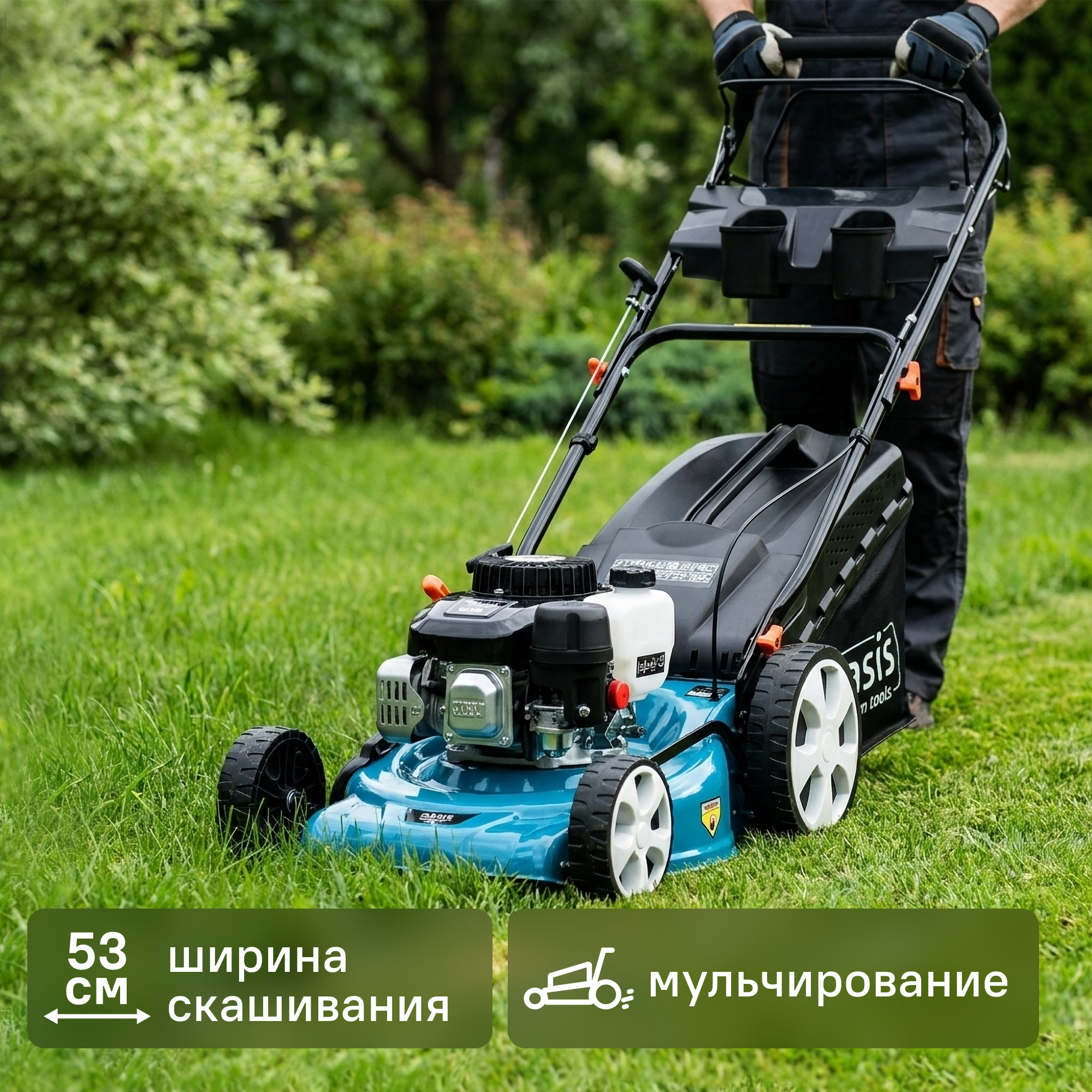 Изображение товара Бензиновая газонокосилка Oasis Garden Tools GB-32 6 л.с.