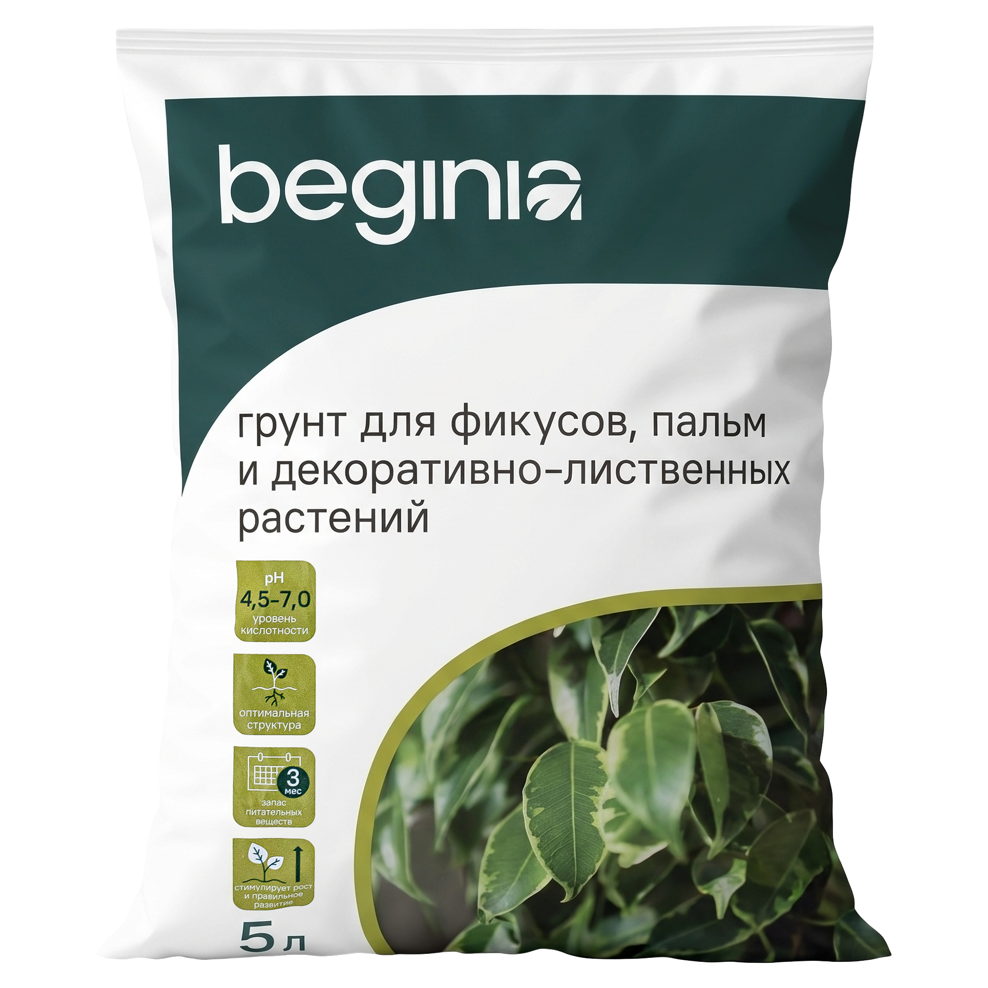Изображение товара Грунт BEGINIA для фикусов и пальм 5 л Изображение товара Грунт BEGINIA для фикусов и пальм 5 л