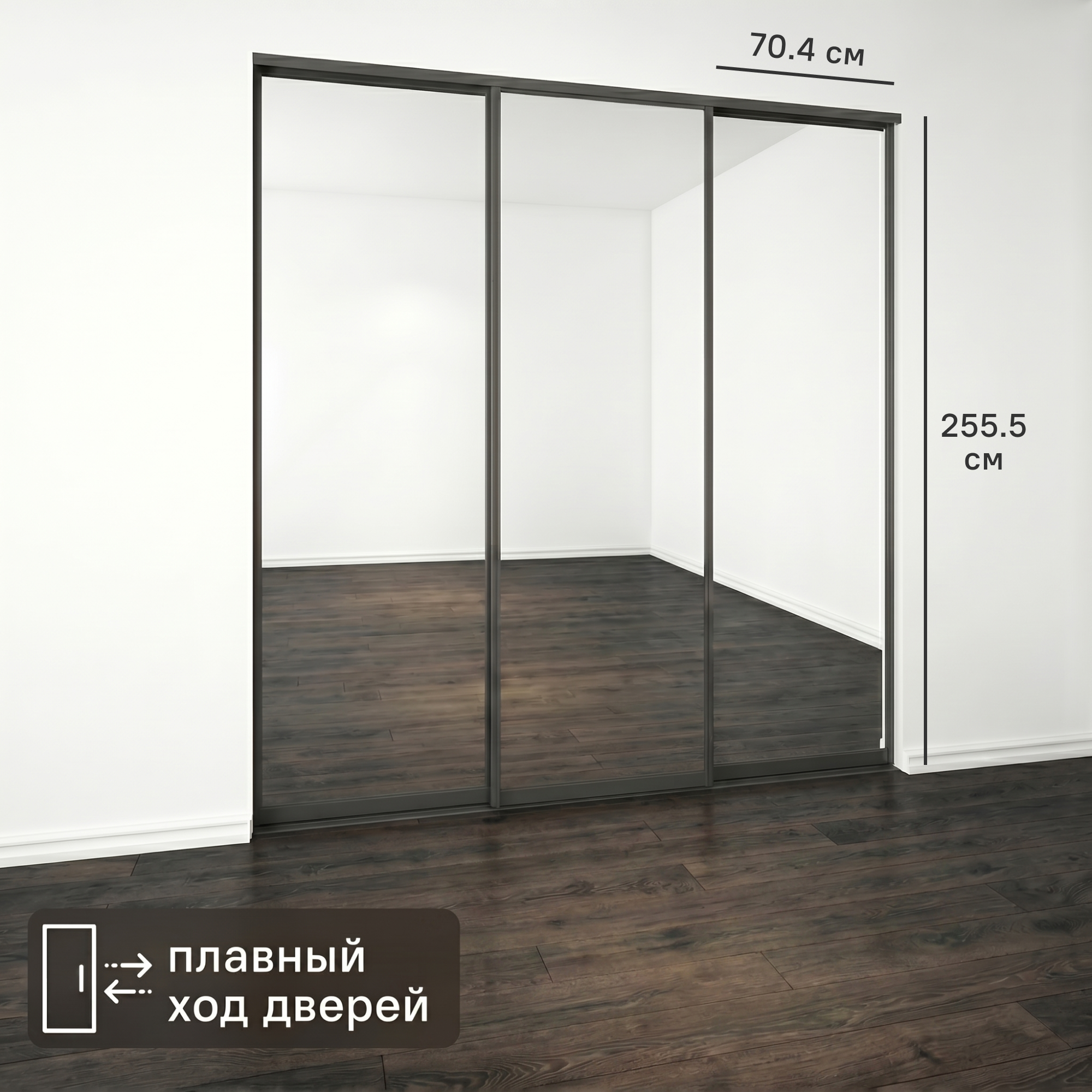 Изображение товара Дверь-купе KONSENSA 255.5x70.4 см с зеркалом профиль черный
