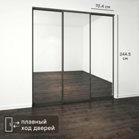 Изображение товара Дверь-купе KONSENSA 2455х704 мм Зеркало Черный - стиль и пространство