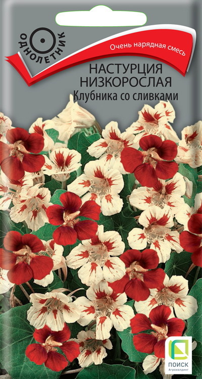 Изображение товара Настурция низкорослая Пацифика вайт - компактные цветы для балконов и контейнеров Изображение товара Настурция низкорослая Пацифика вайт - компактные цветы для балконов и контейнеров