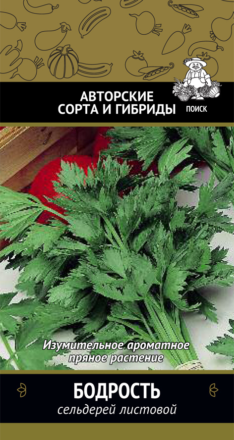 Изображение товара Семена Сельдерей листовой Бодрость Авторские сорта Поиск Изображение товара Семена Сельдерей листовой Бодрость Авторские сорта Поиск