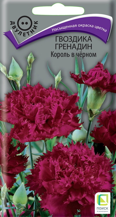 Изображение товара Семена цветов Поиск гвоздика Гренадин Король в черном Изображение товара Семена цветов Поиск гвоздика Гренадин Король в черном