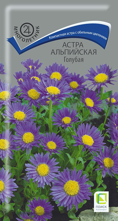Изображение товара Астра альпийская голубая - семена, Пронто оранж (Астра), 1 шт Изображение товара Астра альпийская голубая - семена, Пронто оранж (Астра), 1 шт