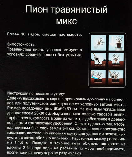 Микс травянистых пионов, в тубе - фото 3