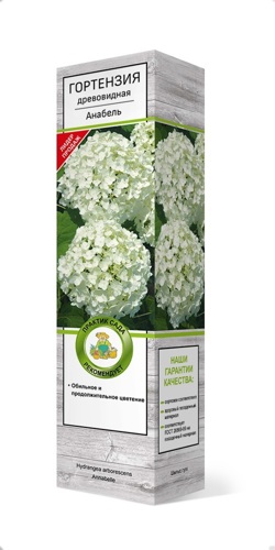 Гортензия древовидная Анабель h37 см