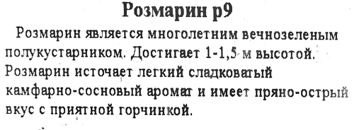Розмарин ø9 h15 см - фото 2