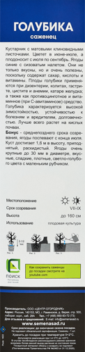 Голубика высокорослая Бонус короб h35 см - фото 3