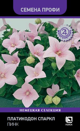 Семена цветов Поиск платикодон Спаркл Пинк