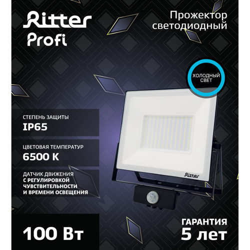 Прожектор LED Ritter Profi 53424 6 100 Вт 10000 Лм 180-240 В с датчиком движения холодный свет 6500К IP65 черный - фото 11