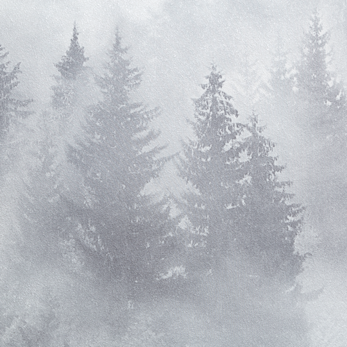 Обои флизелиновые Palitra Home My Forest серые 1.06 м HC71960-14 - фото 3