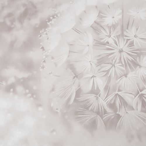 Обои флизелиновые Palitra Home Rosinka бежевые 1.06 м HC72408-21 - фото 3