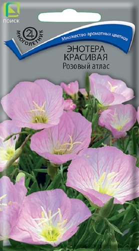 Семена цветов энотера красивая Розовый атлас