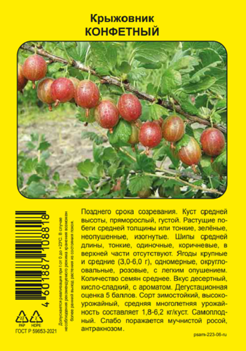 Крыжовник микс h37 см - фото 2