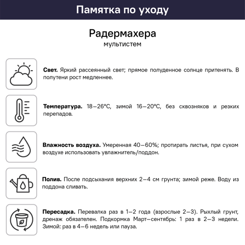Радермахера Мультистем ø25 h170 см - фото 4