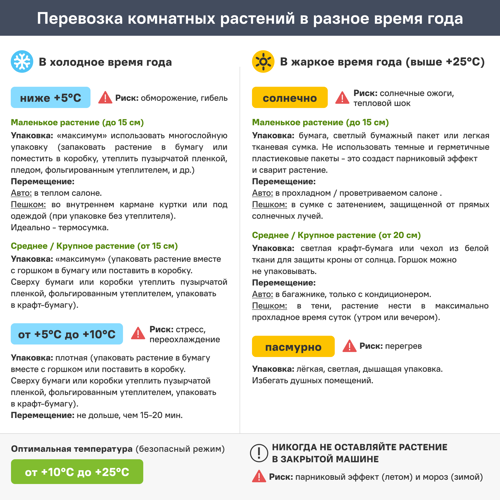Антуриум Эскудо ø12 h35 см - фото 7